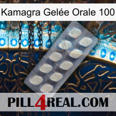 Kamagra Gelée Orale 100 08